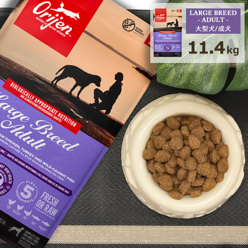 オリジンドッグフード[ラージブリー...