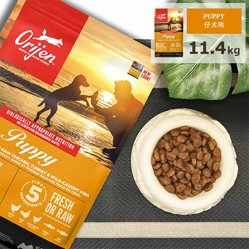 オリジンドッグフード[パピー/11...