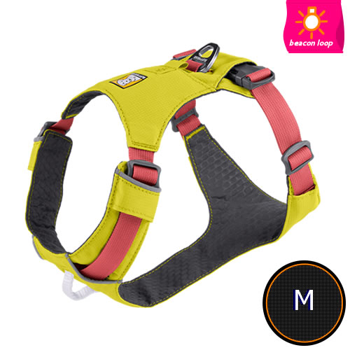 tEFA(RUFFWEAR) nCCgn[lX [CPO[(LCNGN)/M]