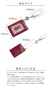【ネコポス送料無料】 パスケース リール リール付きパスケース 定期入れ カード入れ リール付き 伸縮 伸びるリール 2枚 両面 レディース メンズ ギフト プレゼント クリスマス クリスマスプレゼント