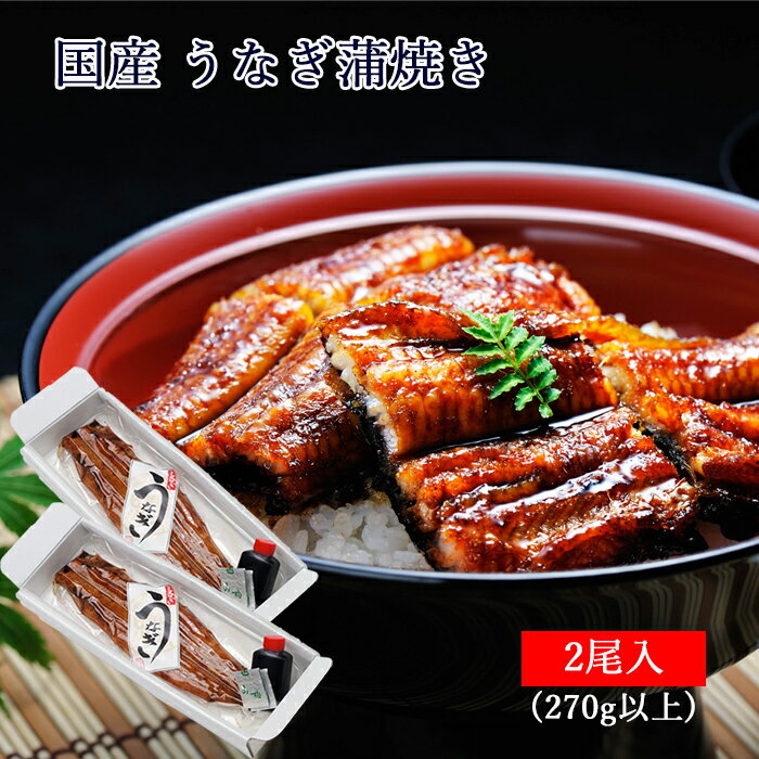お中元 ギフト 国産 鰻 うなぎ 蒲焼き 135g以上 大サイズ2尾 紙箱入 [ あゆの店きむら / UNGKL2 ]【うなぎ ウナギ 鰻 蒲焼き 蒲焼 かば焼き かばやき 国産 土用の丑 内祝い お祝い ギフト 贈り物 】のサムネイル
