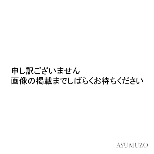 仮名書道画仙紙　かな　羽衣　半切　純雁皮紙　手漉　100枚