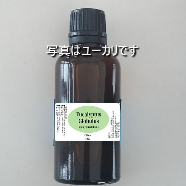 ペパーミント 精油 50ml 100%天然