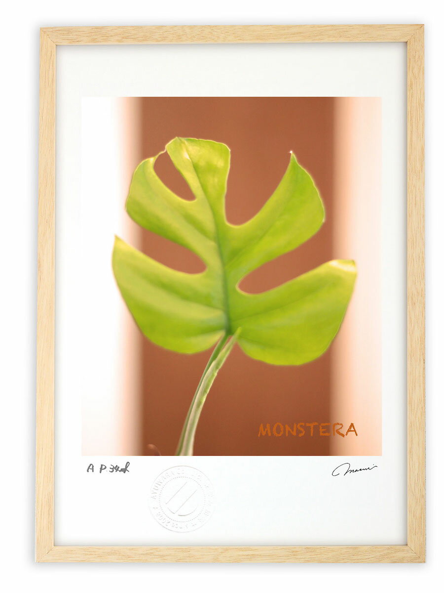 【スーパーSALE半額】版画 絵画 モンステラの赤ちゃん/葉っぱ 若葉 インテリア 額入り 額装込 風景画 油絵 ポスター アート アートパネル リビング 玄関...