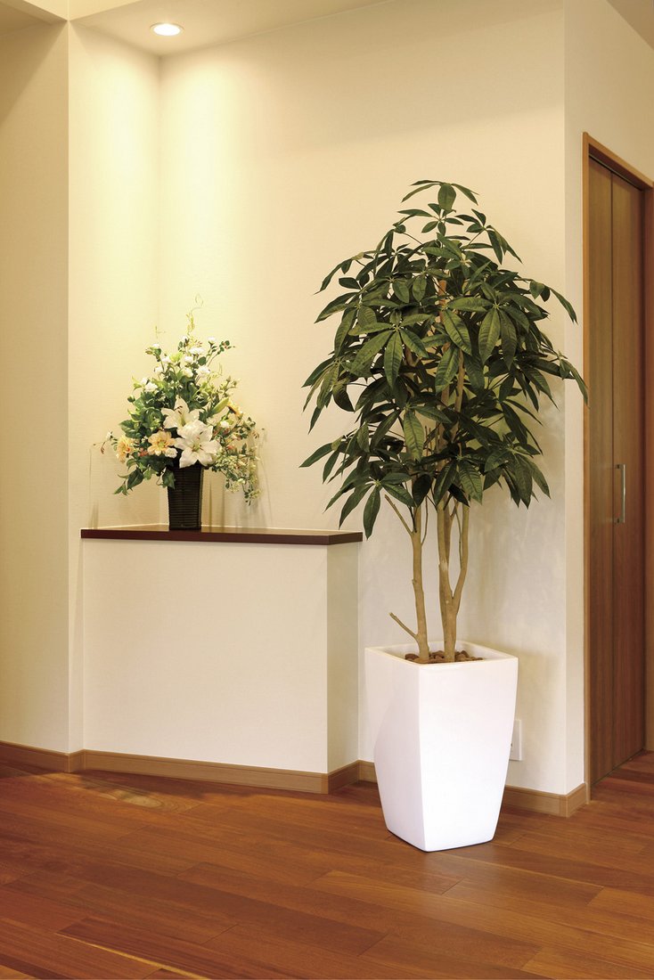 光触媒観葉植物 アーバンパキラ1 8 フロアタイプ ハイサイズ 玄関 光触媒 ラッセン 観葉植物 ハワイ フェイクグリーン 花 胡蝶蘭 開店祝い 開業祝い 誕生祝い 造花 アートフレーム おしゃれ 5lサイズ 絵画 壁飾り 風景専門店あゆわら 新築祝い 開店祝い 誕生日などの