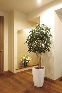 光触媒観葉植物 アーバンパキラ1 8 フロアタイプ ハイサイズ 玄関 光触媒 ラッセン 観葉植物 ハワイ フェイクグリーン 花 胡蝶蘭 開店祝い 開業祝い 誕生祝い 造花 アートフレーム おしゃれ 5lサイズ 絵画 壁飾り 風景専門店あゆわら 新築祝い 開店祝い 誕生日などの 光触媒観葉植物 アーバンパキラ1 8 フロアタイプ ハイサイズ 玄関 光触媒 ラッセン 観葉植物 ハワイ フェイクグリーン 花 胡蝶蘭 開店祝い 開業祝い 誕生祝い 造花 アートフレーム おしゃれ 5lサイズ 絵画 壁飾り 風景専門店あゆわら 新築祝い 開店祝い 誕生日などの