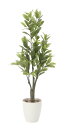 光触媒観葉植物 レモン1.25〔フロアタイプ(ハイサイズ)〕/光触媒 観葉植物 ウンベラータ フェイクグリーン 花 胡蝶蘭 開店祝い 開業祝い 誕生祝い 造花 ...
