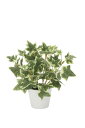 光触媒観葉植物 斑入りアイビー〔テーブルタイプ〕/光触媒 観葉植物 ウンベラータ フェイクグリーン 花 胡蝶蘭 開店祝い 開業祝い 誕生祝い 造花 アートフレーム おしゃれ 飾る Mサイズ