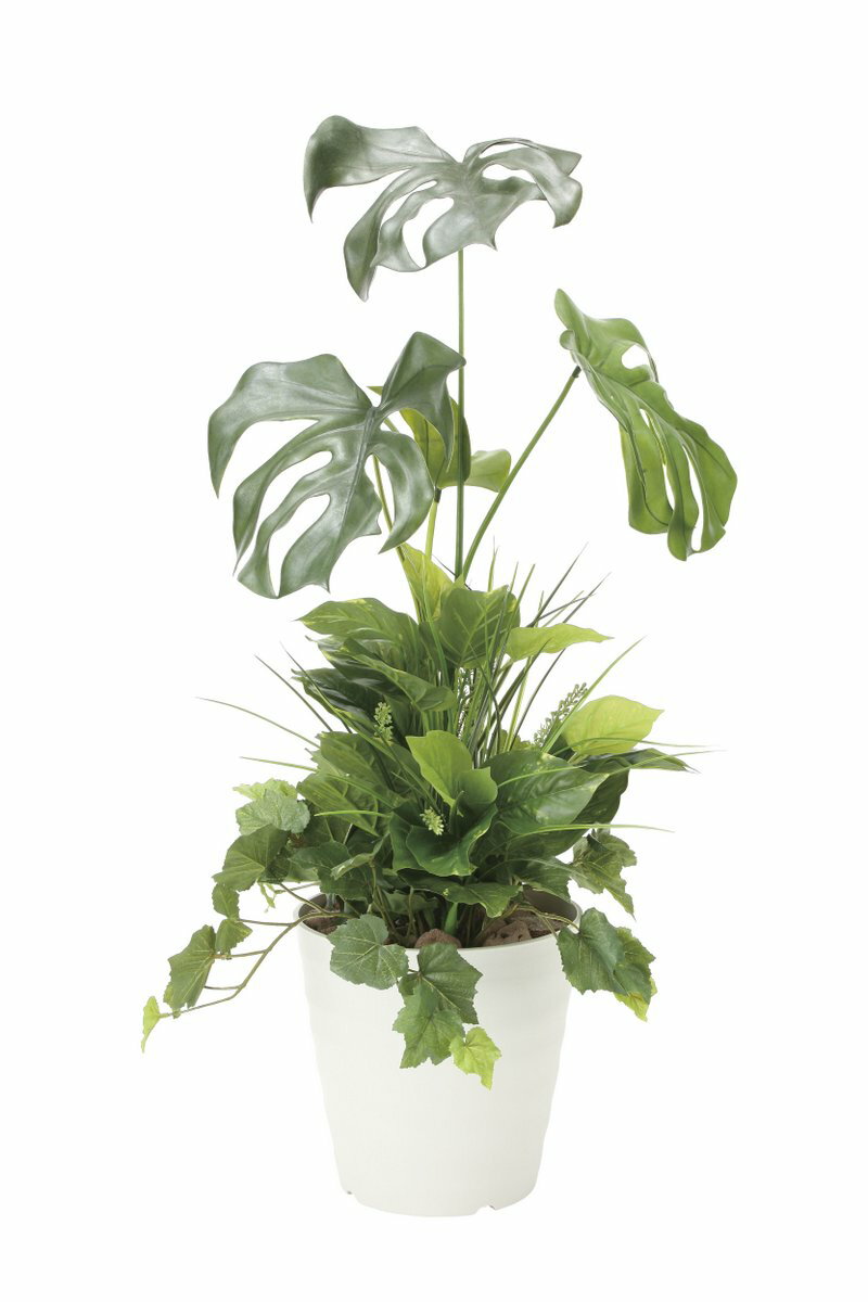 【スーパーSALE10％OFF】光触媒観葉植物 モンステラ90植栽付〔フロアタイプ(ミドルサイズ)〕/光触媒 観葉植物 ウンベラータ フェイクグリーン 花 胡蝶蘭 開店祝い 開業祝い 誕生祝い 造花 アートフレーム おしゃれ 飾る 5Lサイズ