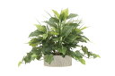 最大100%ポイントバック!限定抽選 光触媒観葉植物 フレッシュミックス〔テーブルタイプ〕/光触媒 観葉植物 ウンベラータ フェイクグリーン 花 胡蝶蘭 開店祝...