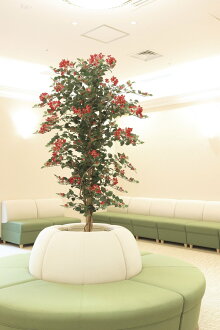光触媒観葉植物 ポスター ブーゲンビリア1 5 フロアタイプ ハイサイズ 光触媒 観葉植物 ウンベラータ ハワイ フェイクグリーン 花 胡蝶蘭 開店祝い おすすめ 開業祝い 誕生祝い 造花 アートフレーム おしゃれ 5lサイズ 絵画 壁飾り 風景専門店あゆわら 新築祝い 開店 光触媒観葉植物 ポスター ブーゲンビリア1 5 フロアタイプ ハイサイズ 光触媒 観葉植物 ウンベラータ ハワイ フェイクグリーン 花 胡蝶蘭 開店祝い おすすめ 開業祝い 誕生祝い 造花 アートフレーム おしゃれ 5lサイズ 絵画 壁飾り 風景専門店あゆわら 新築祝い 開店