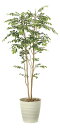 【スーパーSALE10%OFF】光触媒観葉植物 マウンテンアッシュ1.8 〔フロアタイプ〕 インテリア アートグリーン おしゃれ プレゼント 部屋に飾る 造花 ...
