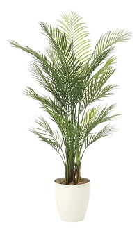 観葉植物 ガーデンタイプ アレカパーム1 5 ポリ製 屋外での使用に対応したアートグリーン 四季を通してずっときれいな緑を保ちます ガーデングリーン 店舗 プレゼント 観葉植物 おしゃれ 枯れない 開業祝 御祝 鉢植え 屋外 ギフト アートグリーン 開業祝 開店祝 観葉植物 ガーデンタイプ アレカパーム1 5 ポリ製 屋外での使用に対応したアートグリーン 四季を通してずっときれいな緑を保ちます ガーデングリーン 店舗 プレゼント 観葉植物 おしゃれ 枯れない 開業祝 御祝 鉢植え 屋外 ギフト アートグリーン 開業祝 開店祝