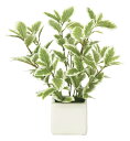 最大100%ポイントバック!限定抽選 光触媒観葉植物 ミニリーフG/W 〔テーブルタイプ〕 インテリア リビング アートグリーン ギフト プレゼント おしゃれ ...