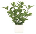 最大100%ポイントバック!限定抽選 光触媒観葉植物 ミニリーフ 〔テーブルタイプ〕 インテリア リビング アートグリーン おしゃれ ギフト プレゼント 玄関 ...