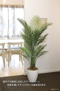 観葉植物 ガーデンタイプ アレカパーム1 5 ポリ製 屋外での使用に対応したアートグリーン 四季を通してずっときれいな緑を保ちます ガーデングリーン 店舗 プレゼント 観葉植物 おしゃれ 枯れない 開業祝 御祝 鉢植え 屋外 ギフト アートグリーン 開業祝 開店祝 観葉植物 ガーデンタイプ アレカパーム1 5 ポリ製 屋外での使用に対応したアートグリーン 四季を通してずっときれいな緑を保ちます ガーデングリーン 店舗 プレゼント 観葉植物 おしゃれ 枯れない 開業祝 御祝 鉢植え 屋外 ギフト アートグリーン 開業祝 開店祝