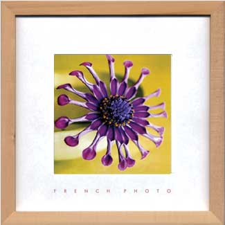 アートフレーム ゆうパケット French Photography Violet,Green(フレンチフォトグラフィー バイオレット、グリーン)/額入り 額装込...