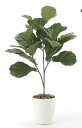 最大100%ポイントバック!限定抽選 光触媒観葉植物 カシワバゴム90〔フロアタイプ(ハイサイズ)〕/光触媒 観葉植物 ウンベラータ フェイクグリーン 花 胡蝶...