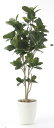 最大100%ポイントバック!限定抽選 光触媒観葉植物 パンの木1.25〔フロアタイプ(ハイサイズ)〕/光触媒 観葉植物 ウンベラータ フェイクグリーン 花 胡蝶...