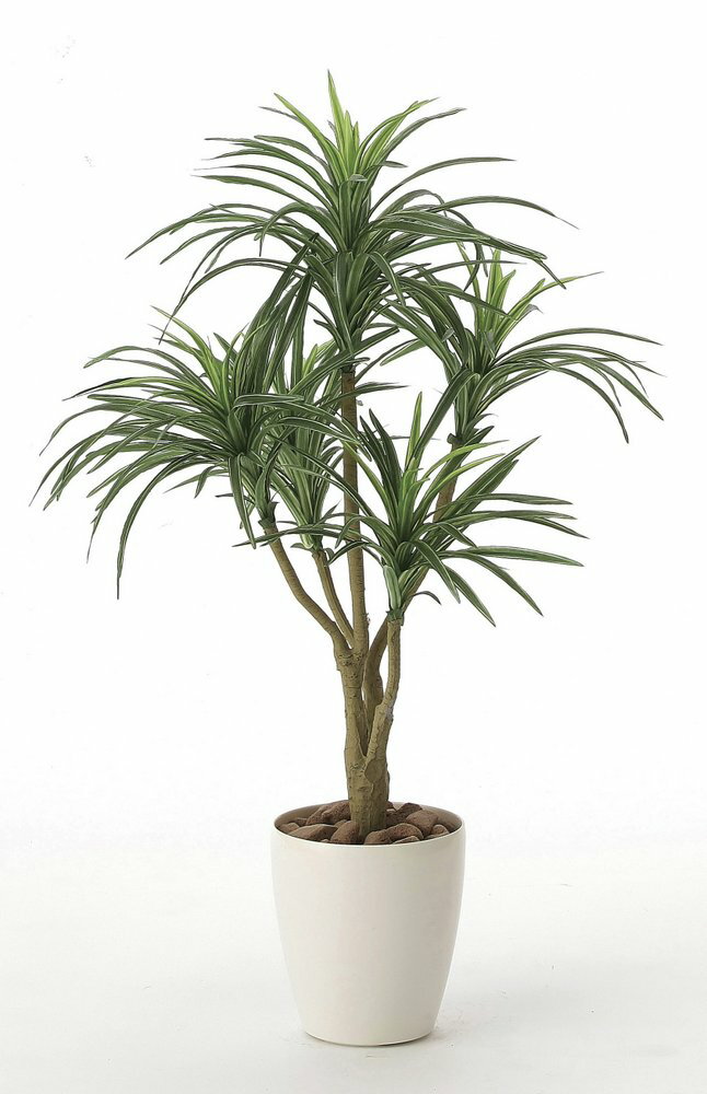 光触媒観葉植物 ユッカ90〔フロアタイプ(ハイサイズ)〕/光触媒 観葉植物 ウンベラータ フェイクグリーン 花 胡蝶蘭 開店祝い 開業祝い 誕生祝い 造花 アートフレーム おしゃれ 飾る 5Lサイズ