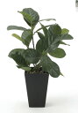 最大100%ポイントバック!限定抽選 光触媒観葉植物 パンの木〔テーブルタイプ〕/光触媒 観葉植物 ウンベラータ フェイクグリーン 花 胡蝶蘭 開店祝い 開業祝...