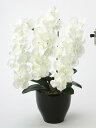 最大100%ポイントバック!限定抽選 アートフラワー 造花 プレミアム胡蝶蘭W〔フロアタイプ〕/光触媒 観葉植物 ウンベラータ フェイクグリーン 花 胡蝶蘭 開...