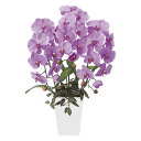 最大100%ポイントバック!限定抽選 アートフラワー 造花 プリンセス胡蝶蘭L〔テーブルタイプ〕/光触媒 観葉植物 ウンベラータ フェイクグリーン 花 胡蝶蘭 ...