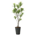 光触媒観葉植物 フレッシュドラセナ1.8 〔フロアタイプ〕 インテリア フェイクグリーン おしゃれ アートグリーン 緑 リビング 鉢植え プレゼント ギフト 玄...