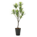 光触媒観葉植物 フレッシュドラセナ1.45 〔フロアタイプ〕 インテリア フェイクグリーン おしゃれ アートグリーン 緑 リビング 鉢植え プレゼント ギフト ...