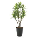 光触媒観葉植物 フレッシュドラセナ1.2 〔フロアタイプ〕 インテリア フェイクグリーン おしゃれ アートグリーン 緑 リビング 鉢植え プレゼント ギフト 玄...