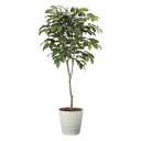 光触媒観葉植物 コーヒーツリー1.8 〔フロアタイプ〕 インテリア フェイクグリーン おしゃれ アートグリーン 緑 リビング 鉢植え プレゼント ギフト 玄関 ...