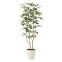 光触媒観葉植物 マウンテンアッシュ1.6 〔フロアタイプ〕 インテリア フェイクグリーン おしゃれ アートグリーン 緑 リビング 鉢植え プレゼント ギフト 玄...