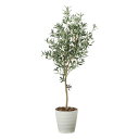光触媒観葉植物 オリーブツリー 1.6 〔フロアタイプ〕 インテリア フェイクグリーン おしゃれ アートグリーン 緑 リビング 鉢植え プレゼント ギフト 玄関...