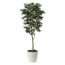 光触媒観葉植物 アルデシア(万両)1.6 〔フロアタイプ〕 インテリア フェイクグリーン おしゃれ アートグリーン 緑 リビング 鉢植え プレゼント ギフト 玄...