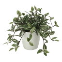 光触媒観葉植物 トラディスカンティア 〔テーブルタイプ〕 インテリア フェイクグリーン おしゃれ アートグリーン 緑 リビング 鉢植え プレゼント ギフト 玄関...