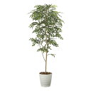 光触媒観葉植物 トネリコ1.8 〔フロアタイプ〕 インテリア フェイクグリーン おしゃれ アートグリーン 緑 リビング 鉢植え プレゼント ギフト 玄関 キッチ...