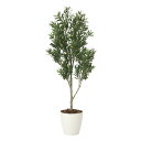 光触媒観葉植物 オリーブツリー 1.65 〔フロアタイプ〕 インテリア フェイクグリーン おしゃれ アートグリーン 緑 リビング 鉢植え プレゼント ギフト 玄...