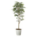 光触媒観葉植物 トネリコ 1.6 〔フロアタイプ〕 インテリア フェイクグリーン おしゃれ アートグリーン 緑 リビング 鉢植え プレゼント ギフト 玄関 キッ...
