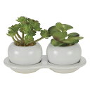 光触媒観葉植物 ダブル多肉ポットB(ポリ製) 〔テーブルタイプ〕 インテリア フェイクグリーン おしゃれ アートグリーン 緑 リビング 鉢植え プレゼント ギフ...