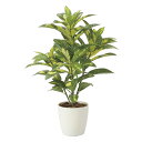 最大100%ポイントバック!限定抽選 光触媒観葉植物 クロトン 〔テーブルタイプ〕 インテリア フェイクグリーン おしゃれ アートグリーン 緑 リビング 鉢植え...