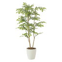 光触媒観葉植物 ライトトネリコ1.0 〔フロアタイプ〕 インテリア フェイクグリーン おしゃれ アートグリーン 緑 リビング 鉢植え プレゼント ギフト 玄関 ...