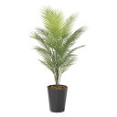 光触媒観葉植物 パームツリー1.3(ポリ製) 〔フロアタイプ〕 インテリア フェイクグリーン おしゃれ アートグリーン 緑 リビング 鉢植え プレゼント ギフト...