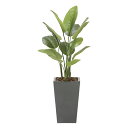 光触媒観葉植物 スキンダブサス1.1 〔フロアタイプ〕 インテリア フェイクグリーン おしゃれ アートグリーン 緑 リビング 鉢植え プレゼント ギフト 玄関 ...