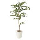 光触媒観葉植物 アムステルラバーキング1.2 〔フロアタイプ〕 インテリア フェイクグリーン おしゃれ アートグリーン 緑 リビング 鉢植え プレゼント ギフト...