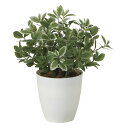 光触媒観葉植物 ミニリーフL 〔テーブルタイプ〕 インテリア フェイクグリーン おしゃれ アートグリーン 緑 リビング 鉢植え プレゼント ギフト 玄関 キッチ...