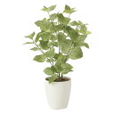 光触媒観葉植物 ペリーラ70 〔テーブルタイプ〕 インテリア フェイクグリーン おしゃれ アートグリーン 緑 リビング 鉢植え プレゼント ギフト 玄関 キッチ...