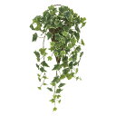 光触媒観葉植物 壁掛け斑入りアイビー 〔壁掛けタイプ〕 インテリア フェイクグリーン おしゃれ アートグリーン 緑 リビング 壁掛け プレゼント ギフト 玄関 ...