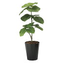 光触媒観葉植物 ウンベラータ1.0 〔フロアタイプ〕 インテリア フェイクグリーン おしゃれ アートグリーン 緑 リビング 鉢植え プレゼント ギフト 玄関 キ...