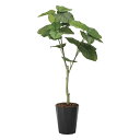光触媒観葉植物 ウンベラータ1.35 〔フロアタイプ〕 インテリア フェイクグリーン おしゃれ アートグリーン 緑 リビング 鉢植え プレゼント ギフト 玄関 ...