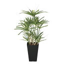 光触媒観葉植物 パピルス60 〔テーブルタイプ〕 インテリア フェイクグリーン おしゃれ アートグリーン 緑 リビング 鉢植え プレゼント ギフト 玄関 キッチ...